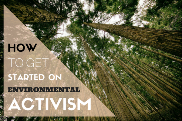 be an environmental activist