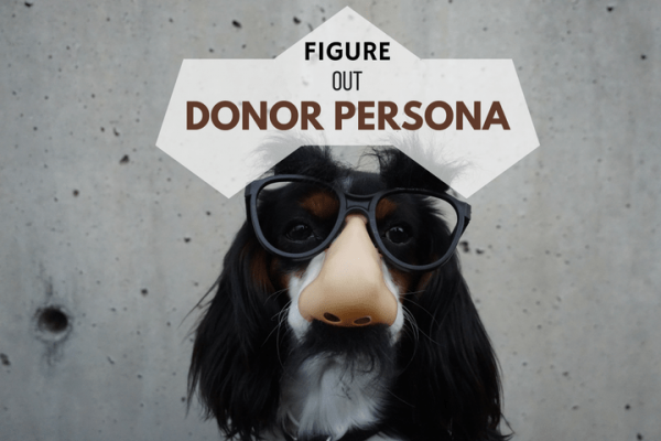 identify donor persona