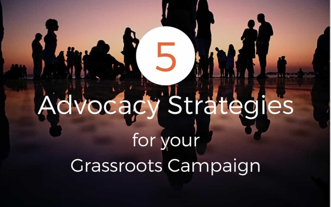 Advocacy strategies for Grassroots Campaign