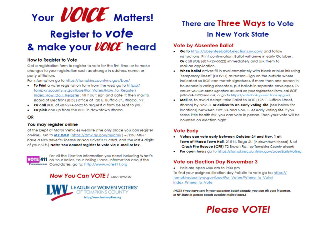 get-out-the-vote-direct-mail-flyer-example