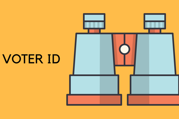 why voter identification is important
