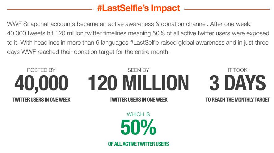 lastselfie advocacy campaign example