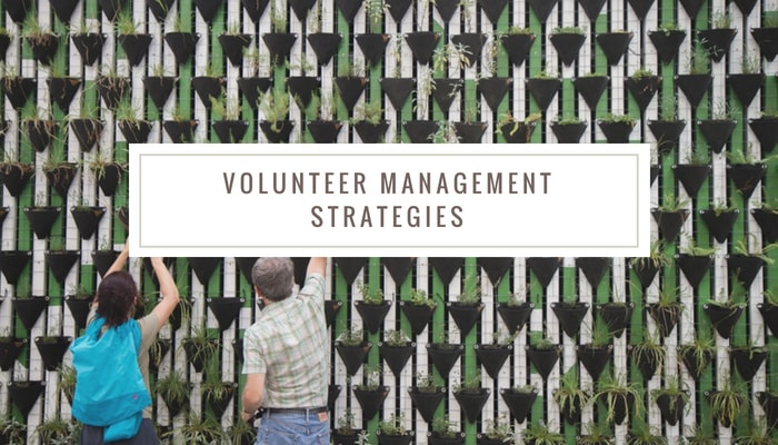 Volunteer management strategies