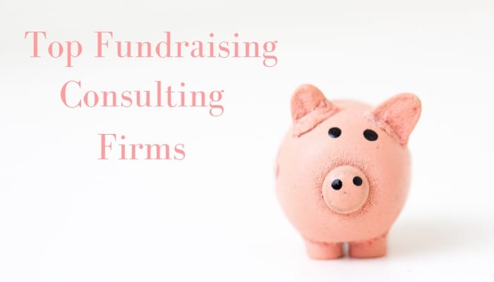 Top Fundraising Consulting Firms