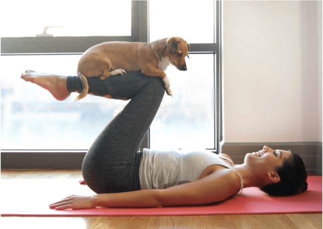 animal-yoga-fundraising-unique-idea