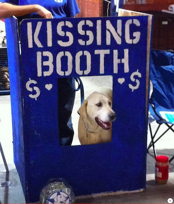 dog-kissing-booth