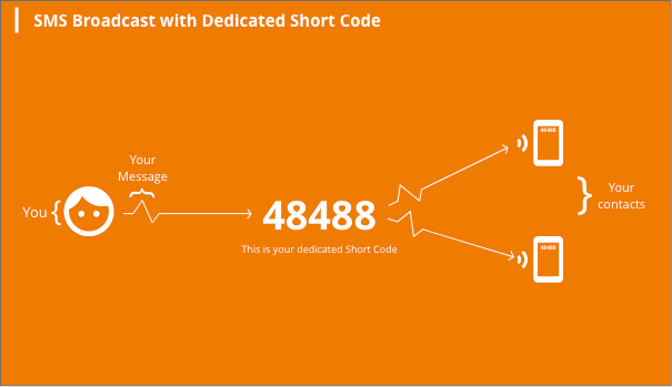 Dedicated Vs Shared Shortcode Texting - Which one should you use?