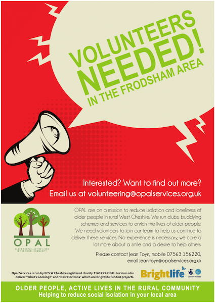 sample-volunteer-recruitment-flyer