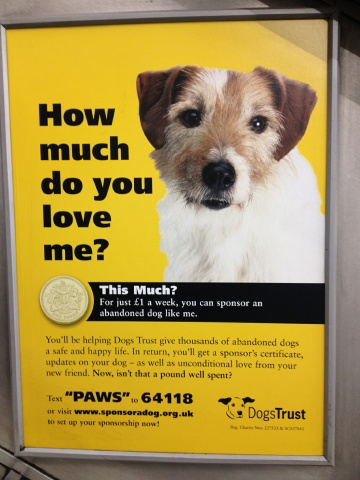 Dogs Trust campaign poster