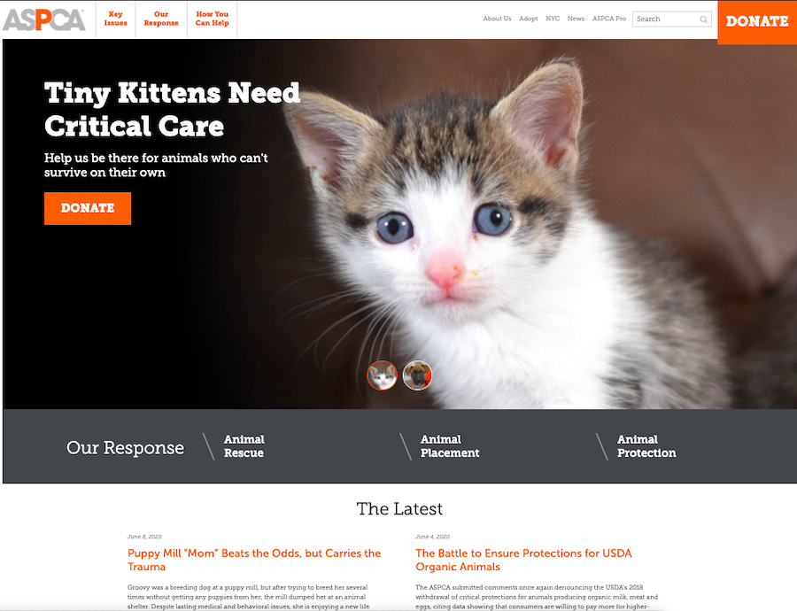 nonprofit-website-homepage-example