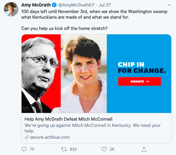 social media political campaign amy mcgrath