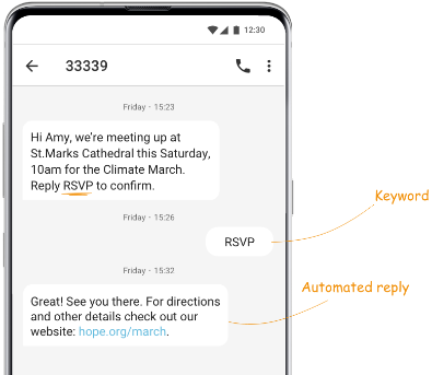 automated-reply-feature