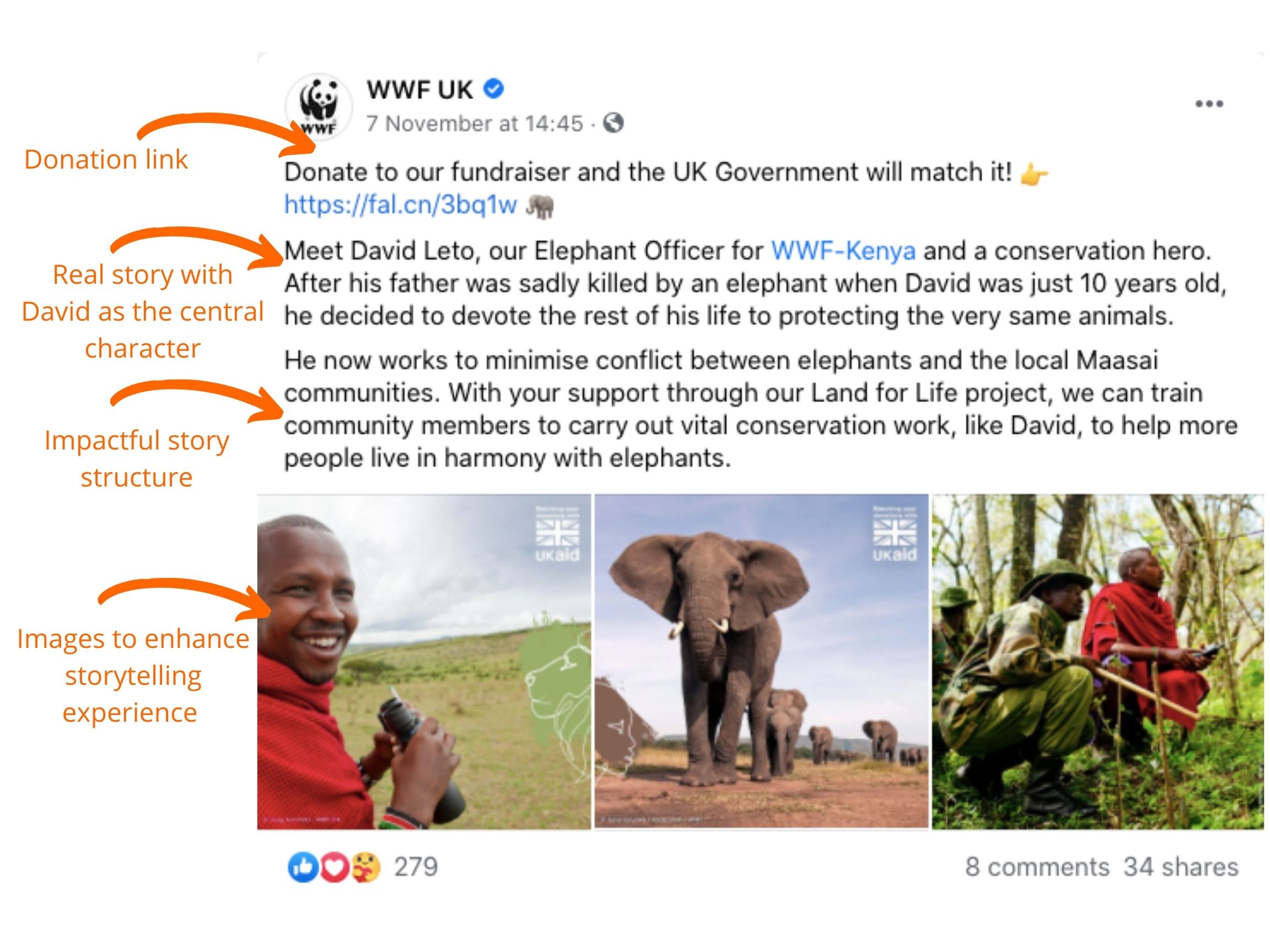 millennial-donors-WWF-UK-storytelling