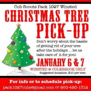 Christmas-tree-disposal-winter--fundraising