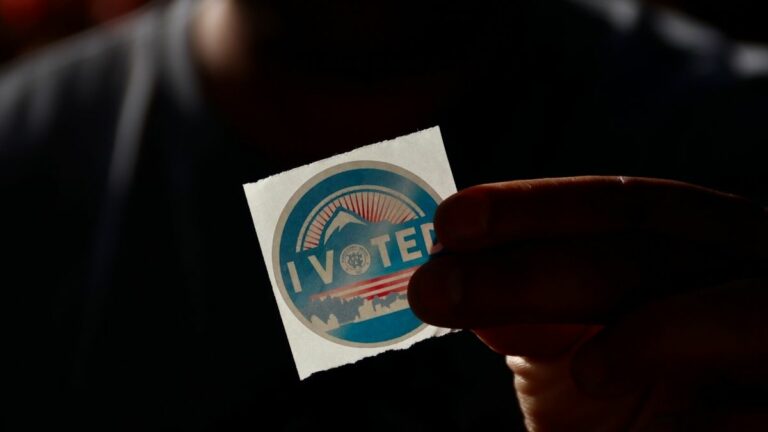 Using the Power of Text Messages to Gather Support During General Elections