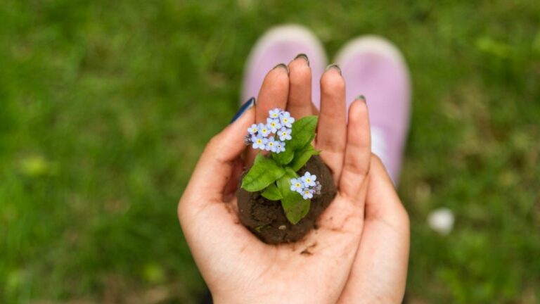 6 Easy Steps to Craft the Perfect Donor Cultivation Plan