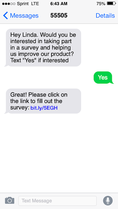 sms-survey-online-option