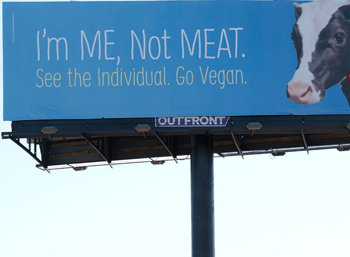 peta-nonprofit-branding-example