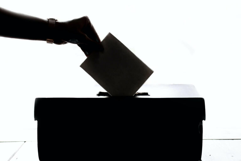 The Miracle of Grassroots Politics – What and How to Organize (with Examples)