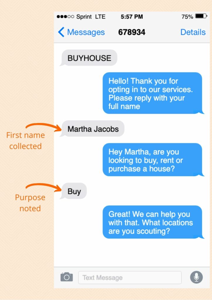 real estate business plan sms marketing example