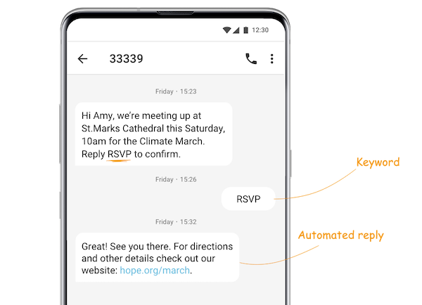 automated-text-messaging-auto-replies-based-on-keywords-example