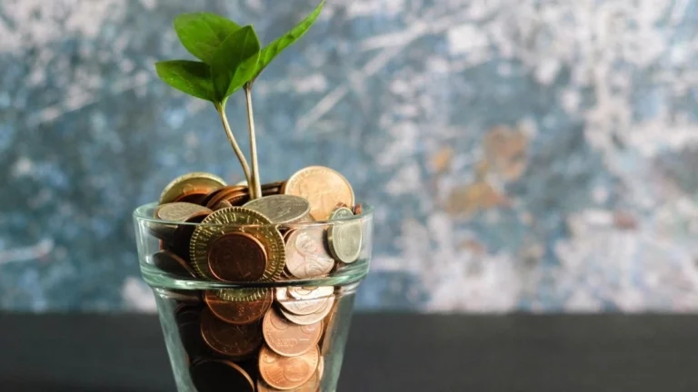 Top Grassroots Fundraising Strategies So You Never Run Out of Funds
