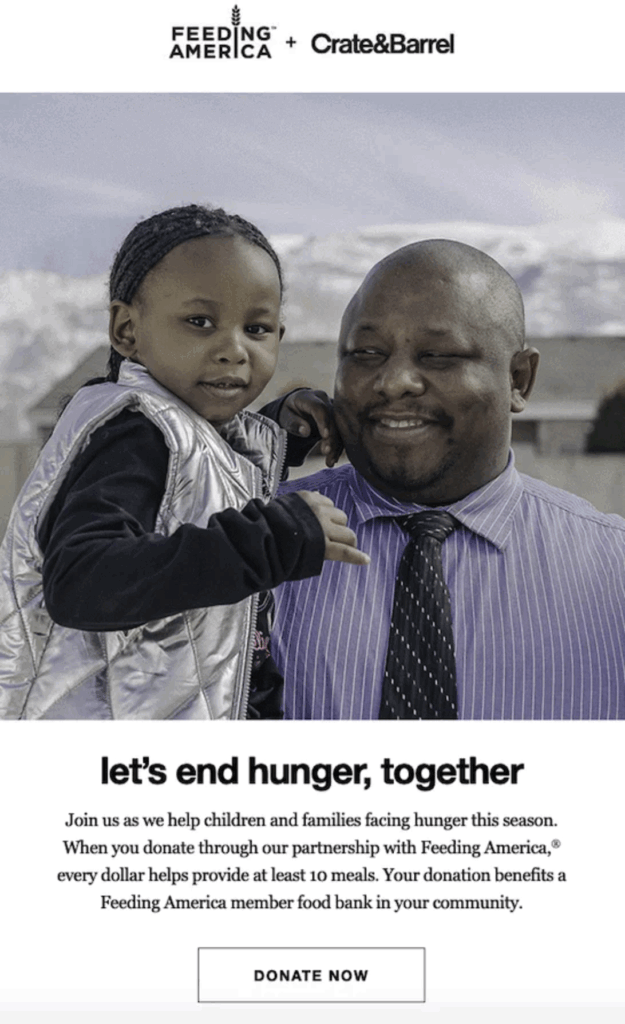 giving-tuesday-email-example-feed-america