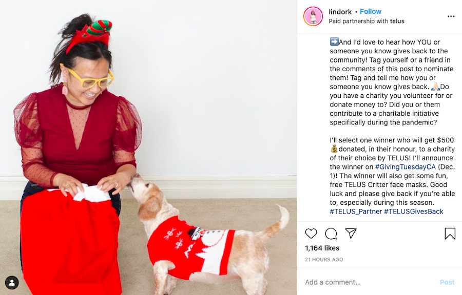 giving-tuesday-ideas-influencer-giving