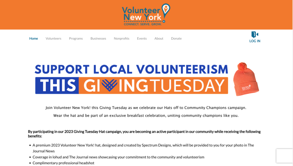 giving-tuesday-ideas-new-york-volunteer