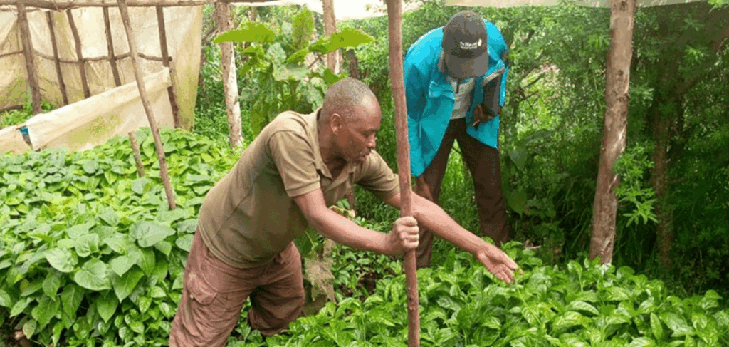 peer-to-peer-texting-platforms-kenya